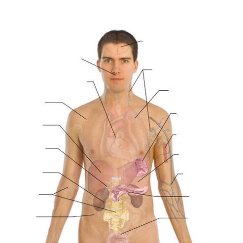 признаци за наличие на паразити в различни органи